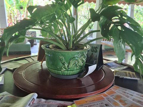 Coquira Soil Project-Chepo必去景点