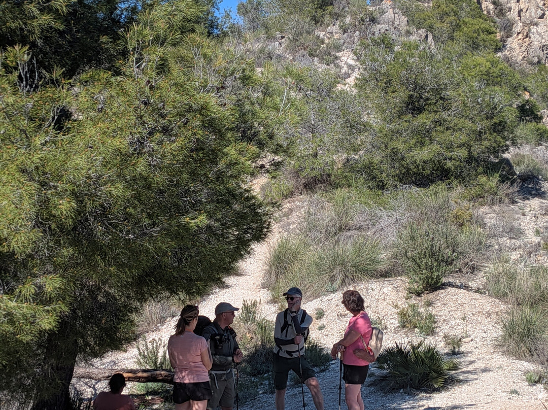 Andalucia On Foot-Comares必去景点