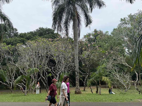 Simply Ceylon Tours-康提必去景点