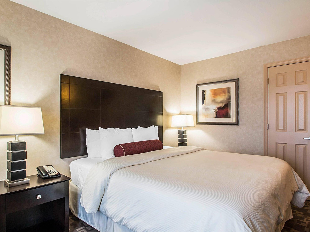 克拉丽奥酒店-埃尔姆赫斯特-橡树溪近I-88-I-290-I-294