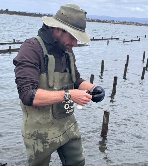 Oyster Bay Tours-科尔斯湾必去景点