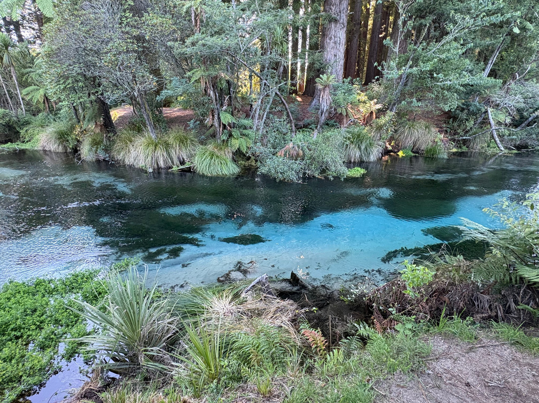 Hamurana Springs Nature Reserve-哈姆拉娜必去景点