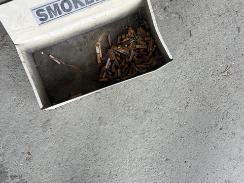 The Black Horse Hotel-Bulla必去景点