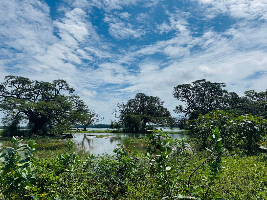 Muthu Sri Lanka Tours-加勒必去景点