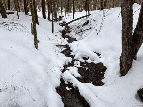Mass Audubon Pleasant Valley Wildlife Sanctuary-莱诺克斯必去景点