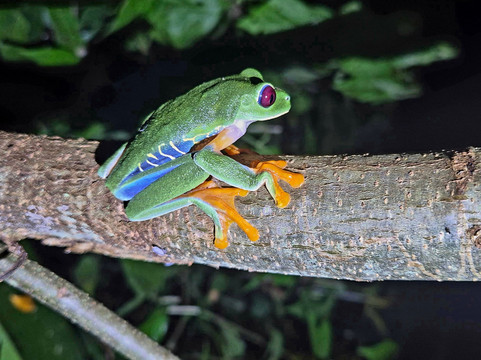 Manuel Tour Guide-卡维塔必去景点