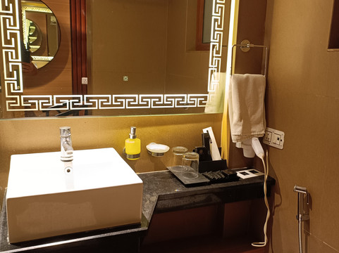 Vatika Premier Hotel主图