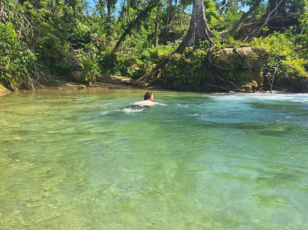 Special Memories Tours & Transfers-内格里尔必去景点