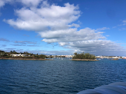 Sea Express Ferry Service-汉密尔顿必去景点