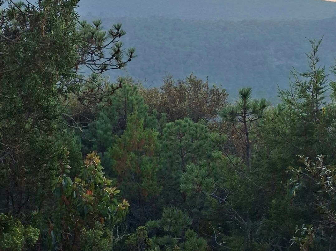 Sky Obsession Astroturismo-克雷塔罗必去景点