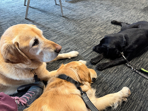 Retro Relics Games Cafe