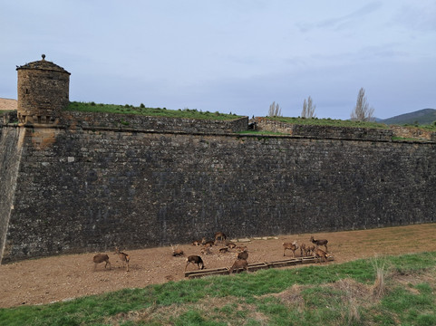 Ciudadela De Jaca-哈卡必去景点
