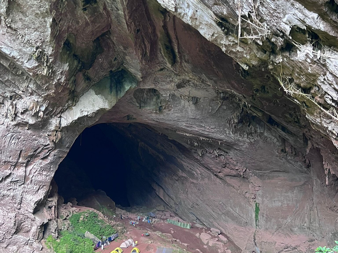 Jungle Boss Tours-峰牙－己榜国家公园必去景点