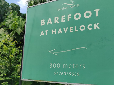 The Swimming Elephant