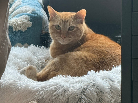 Wonder Fair-劳伦斯必去景点