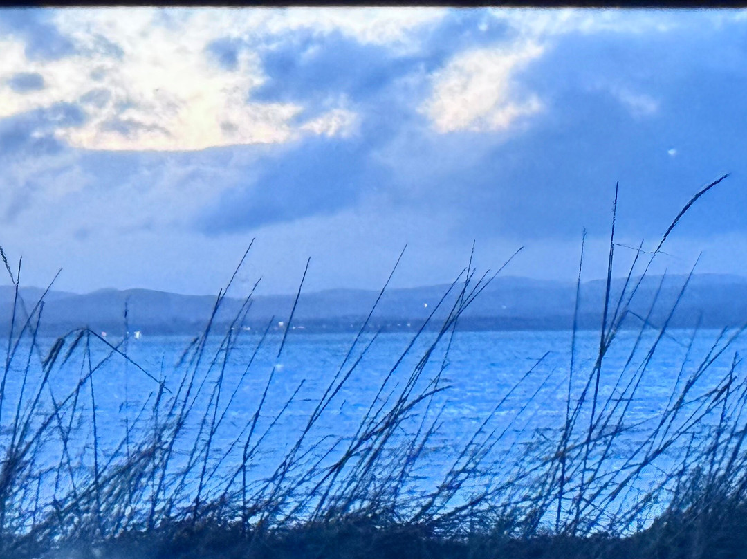 The Castle Hotel NR Tain主图