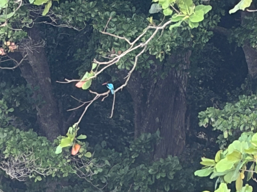 NomadicTribes | Andaman-Swaraj Dweep必去景点