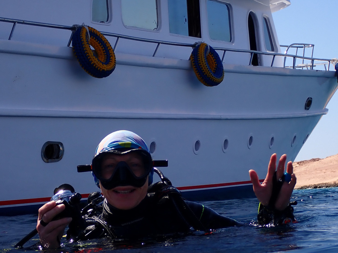 Red Sea Elite Diving-沙姆沙伊赫必去景点