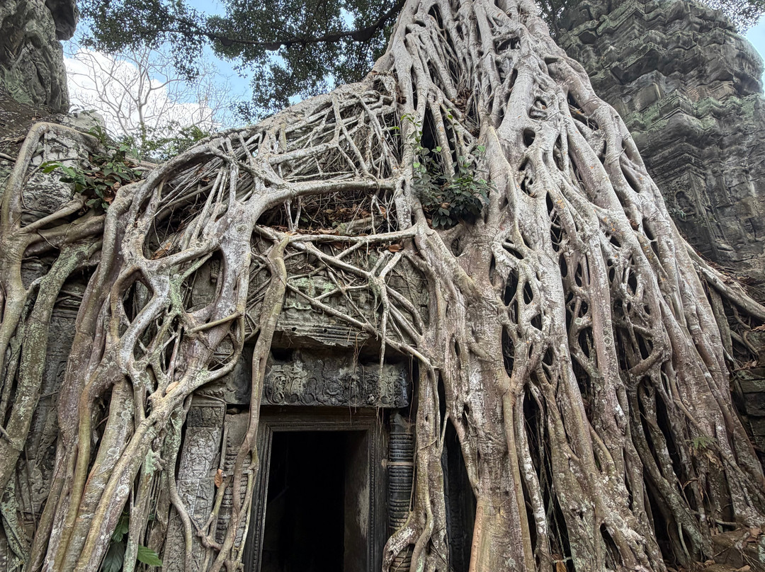 Angkor Wat Drivers-暹粒必去景点