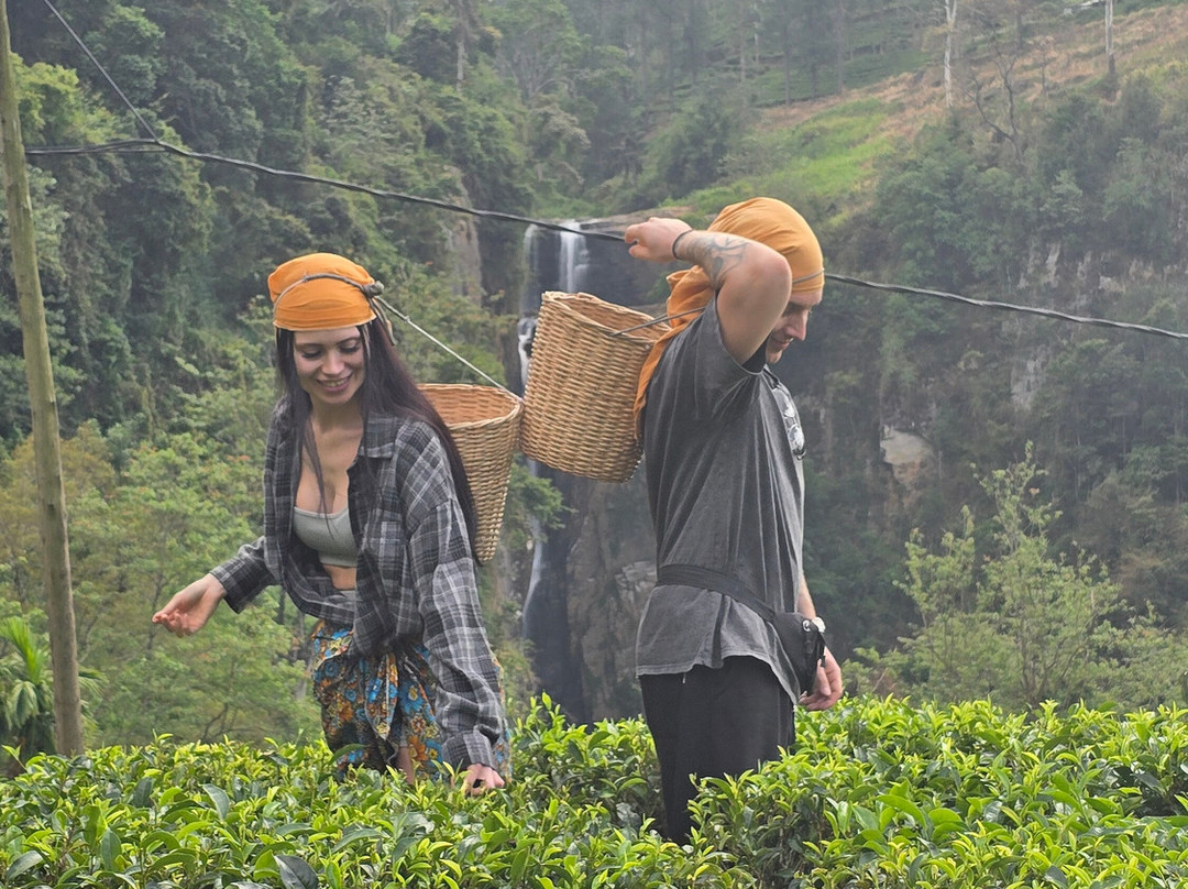 Monkey Tours Sri Lanka-加勒必去景点