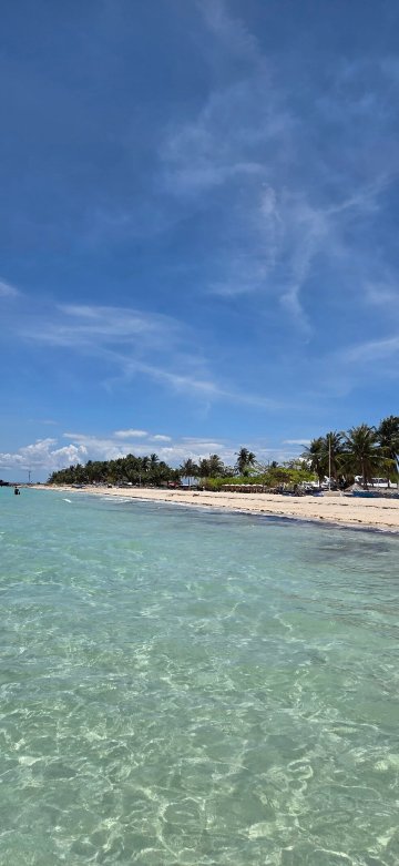 Skott's Comfy Lodge-官方