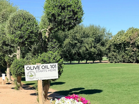 Queen Creek Olive Mill-Queen Creek必去景点