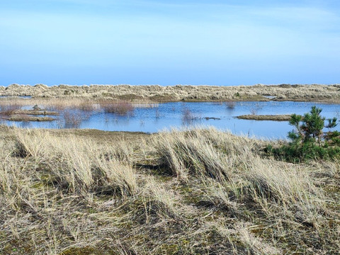 Tentsmuir Forest-Tayport必去景点