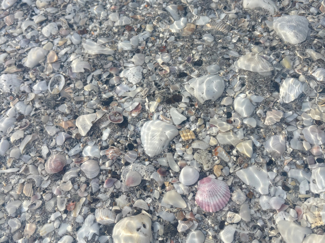 Stump Pass Beach State Park-恩格尔伍德必去景点