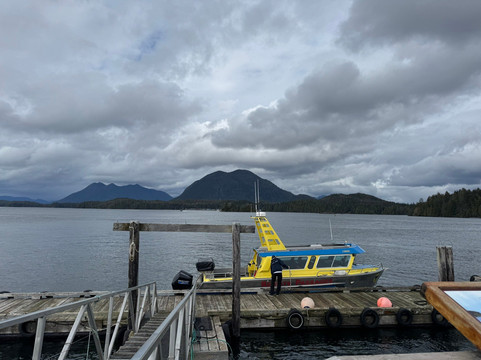 Remote Passages Marine Excursions-托菲诺必去景点