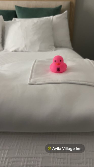 阿维拉乡村酒店-官方