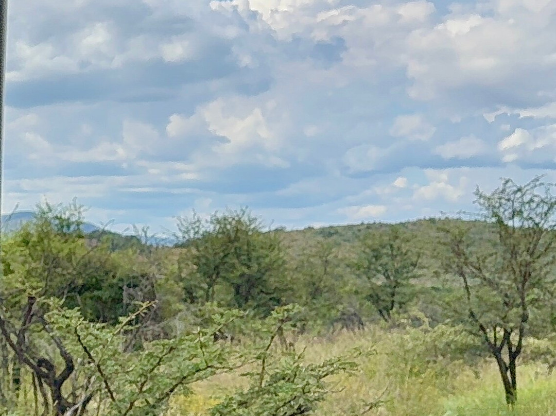 Pilanesberg National Park-太阳城必去景点