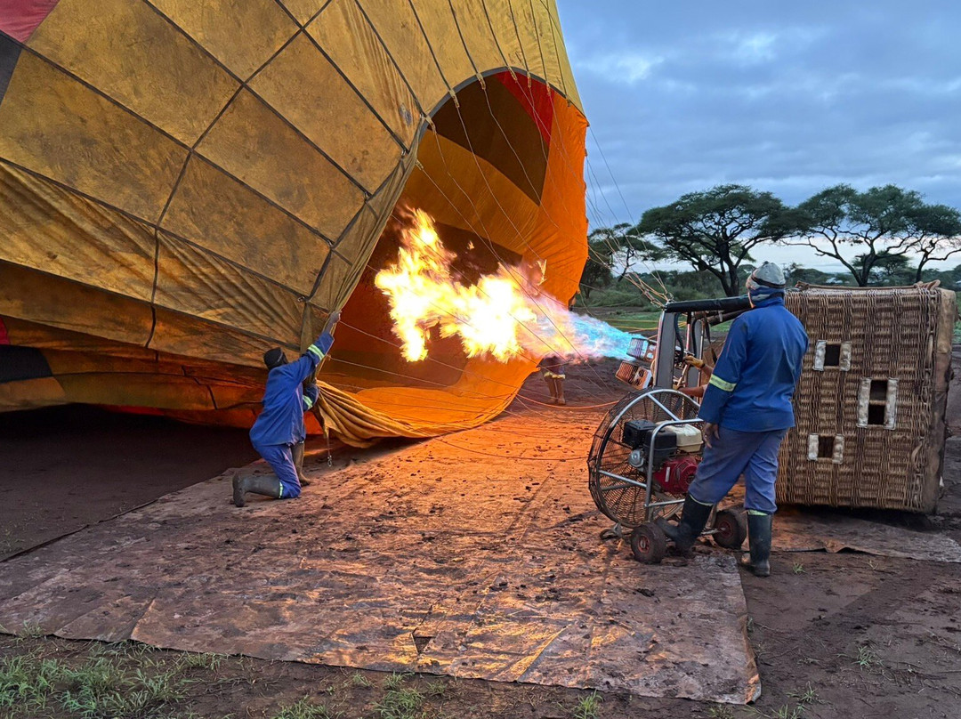 Kilimanjaro Balloon Safaris-安博塞利国家公园必去景点