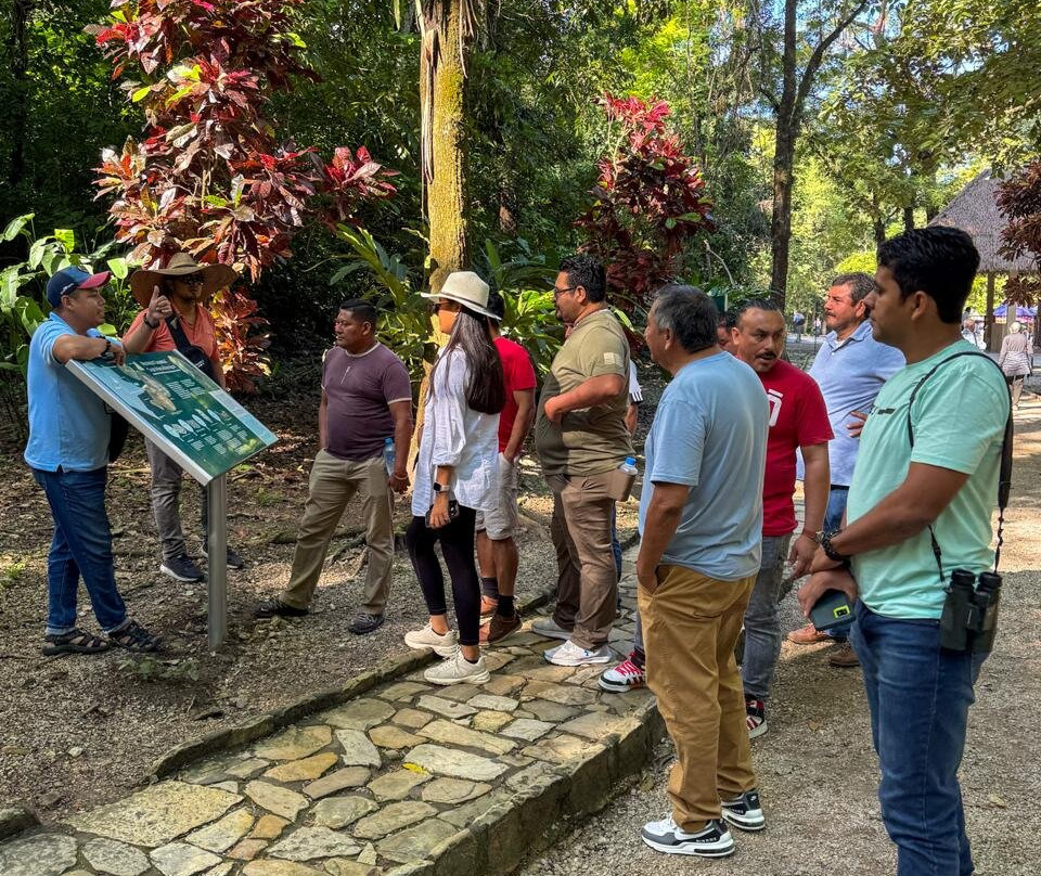 Rutas Mayas Del Sureste-帕伦克必去景点