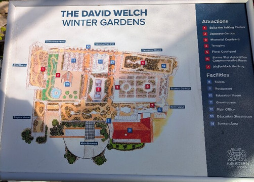Duthie Park Winter Gardens-阿伯丁必去景点