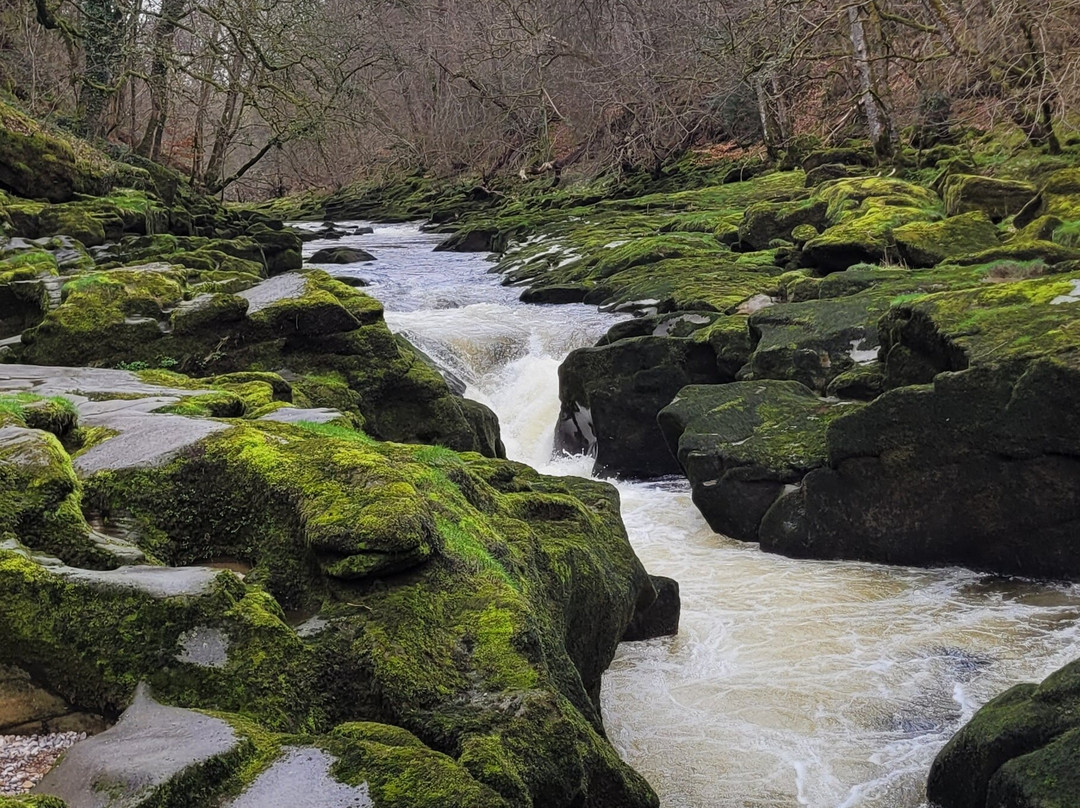 The Strid-Bolton Abbey必去景点