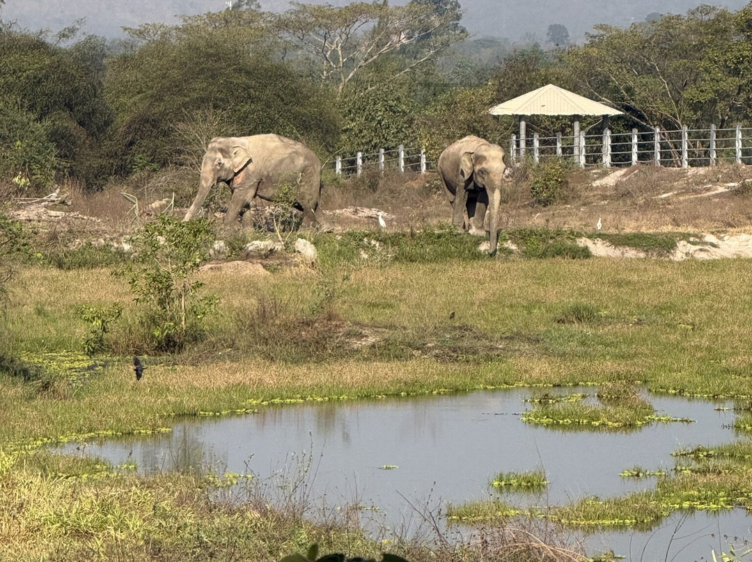 Wildlife Friends Foundation Thailand-他央必去景点