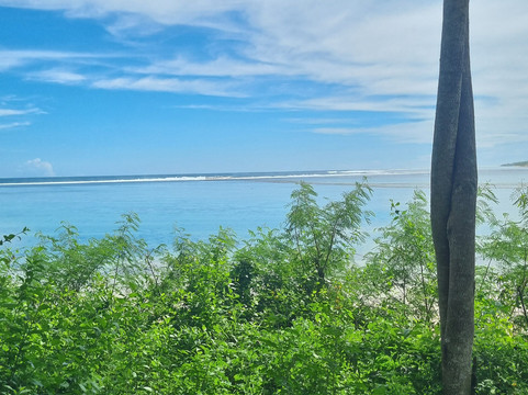 Ecotrax Fiji-辛加东卡必去景点