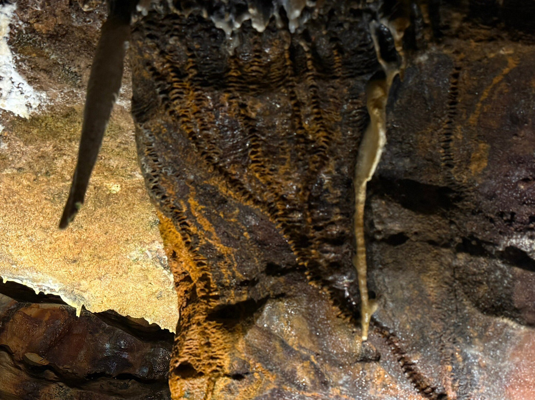 Ohio Caverns-West Liberty必去景点