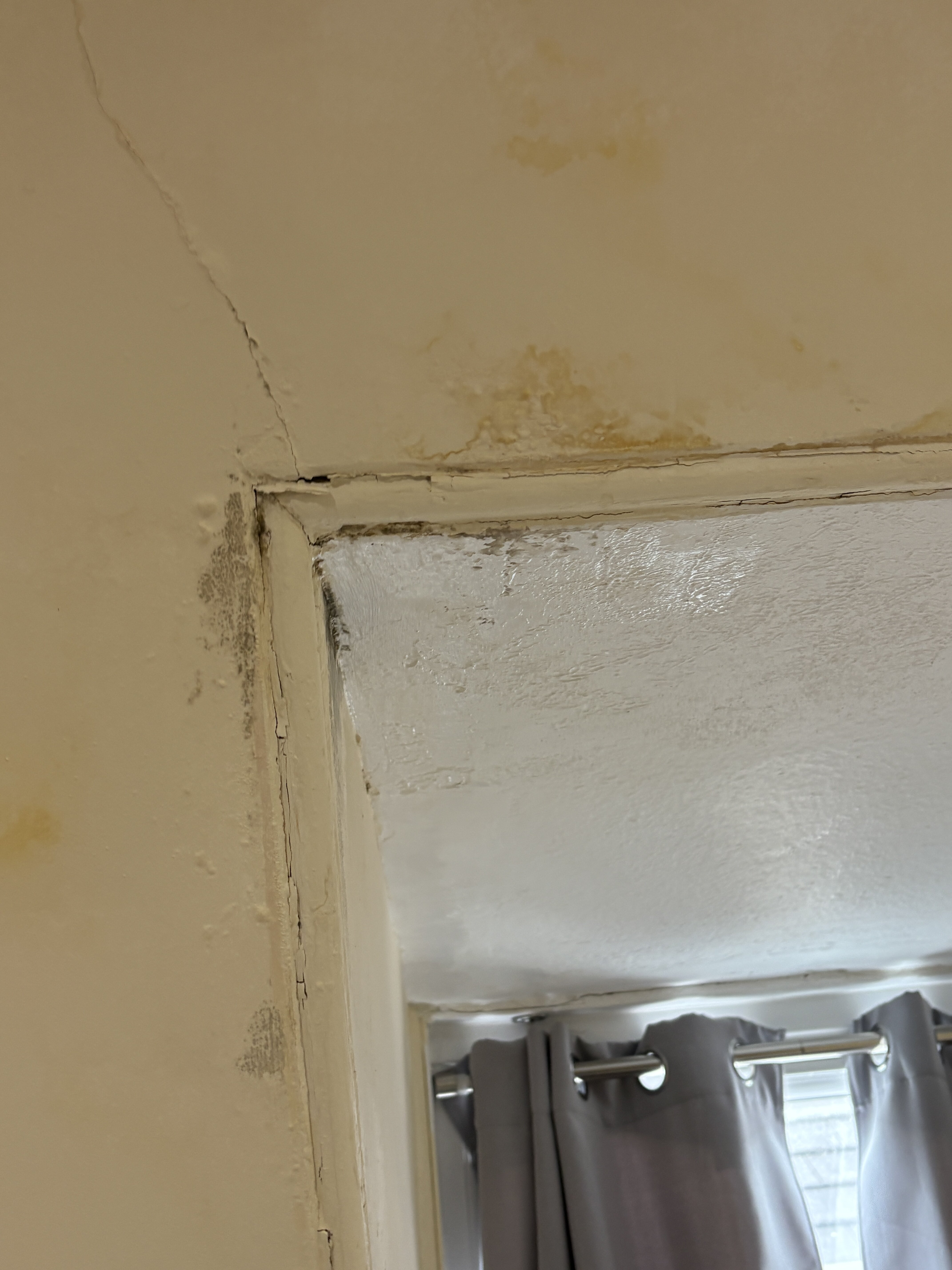 莫拉尔酒店-官方