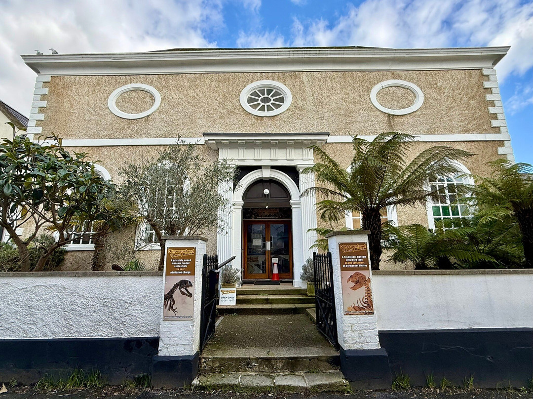 Dinosaurland Fossil Museum-莱姆里杰斯必去景点