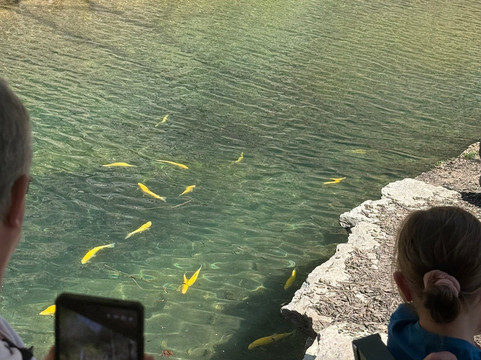 Dogwood Canyon Nature Park-Lampe必去景点