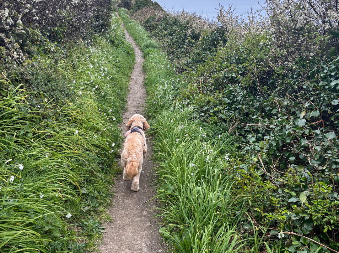 Penryn House Hotel主图