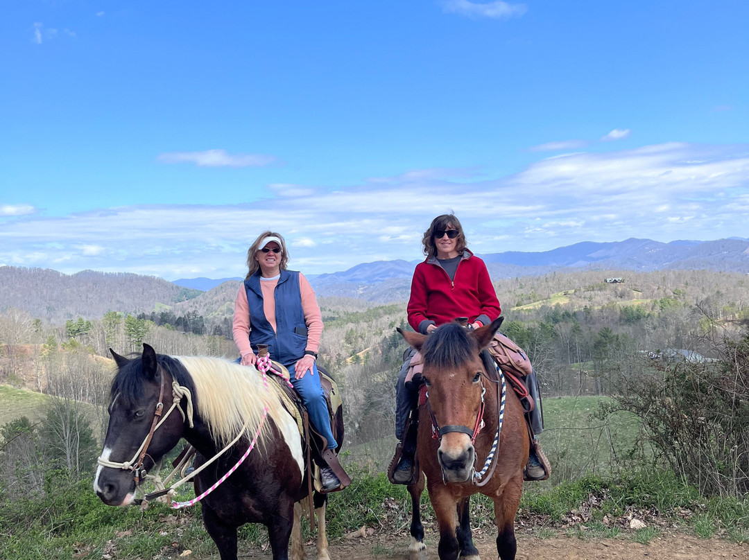 Sandy Bottom Trail Rides-Marshall必去景点