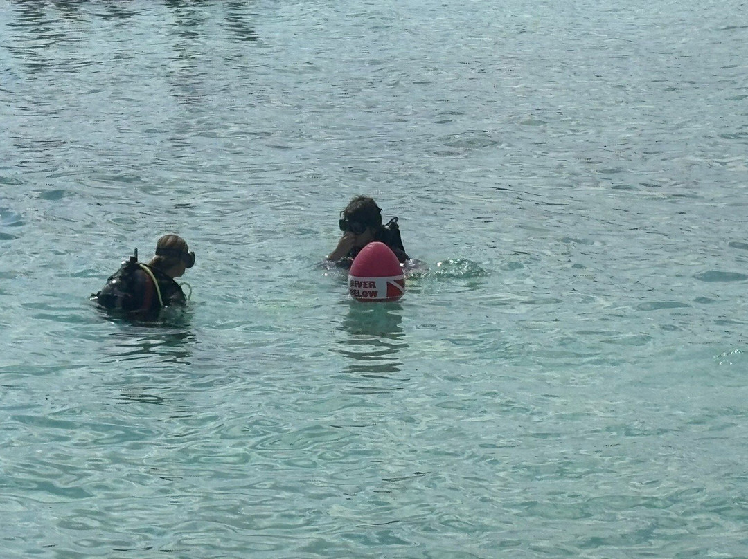 Dive Center Scuba Do-威廉斯塔德必去景点