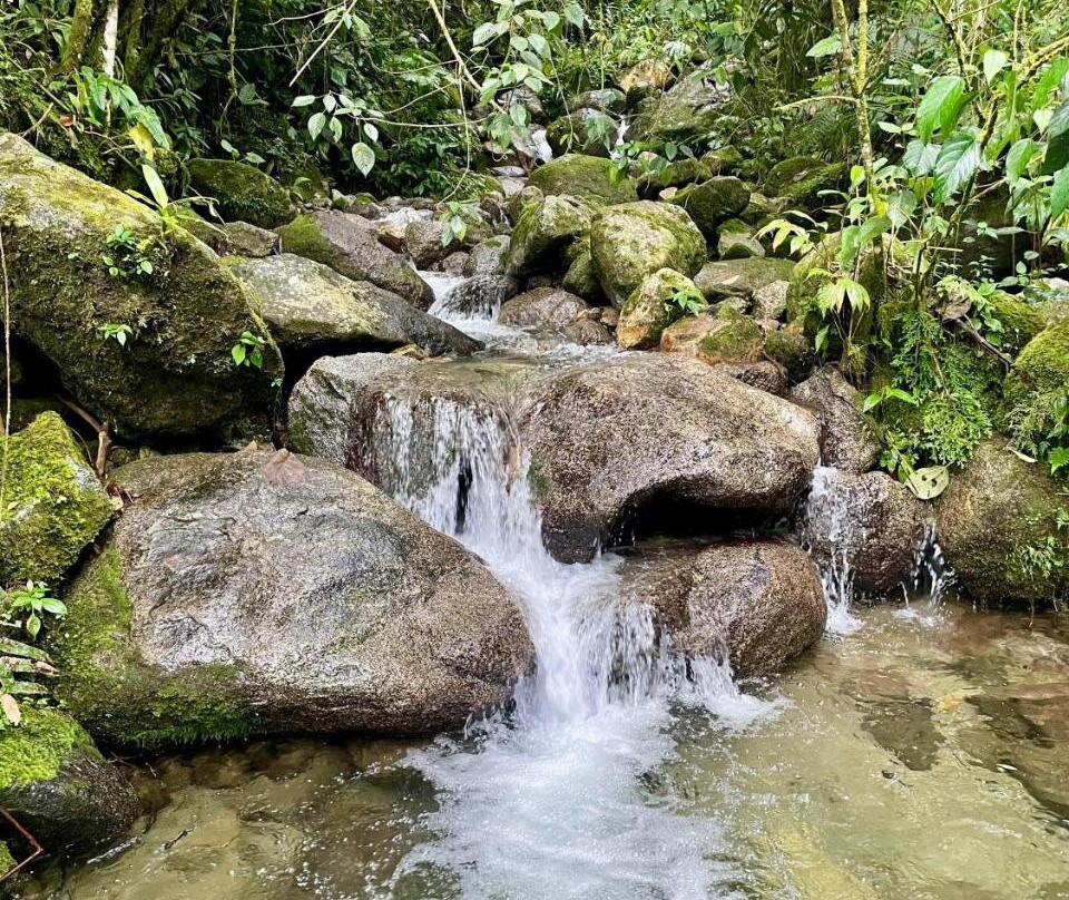 Soplo del Tambo - Ecohotel and Retreat Centre
