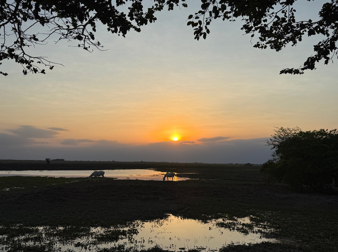 Reserva Natural Hato El Boral-San Luis de Palenque必去景点