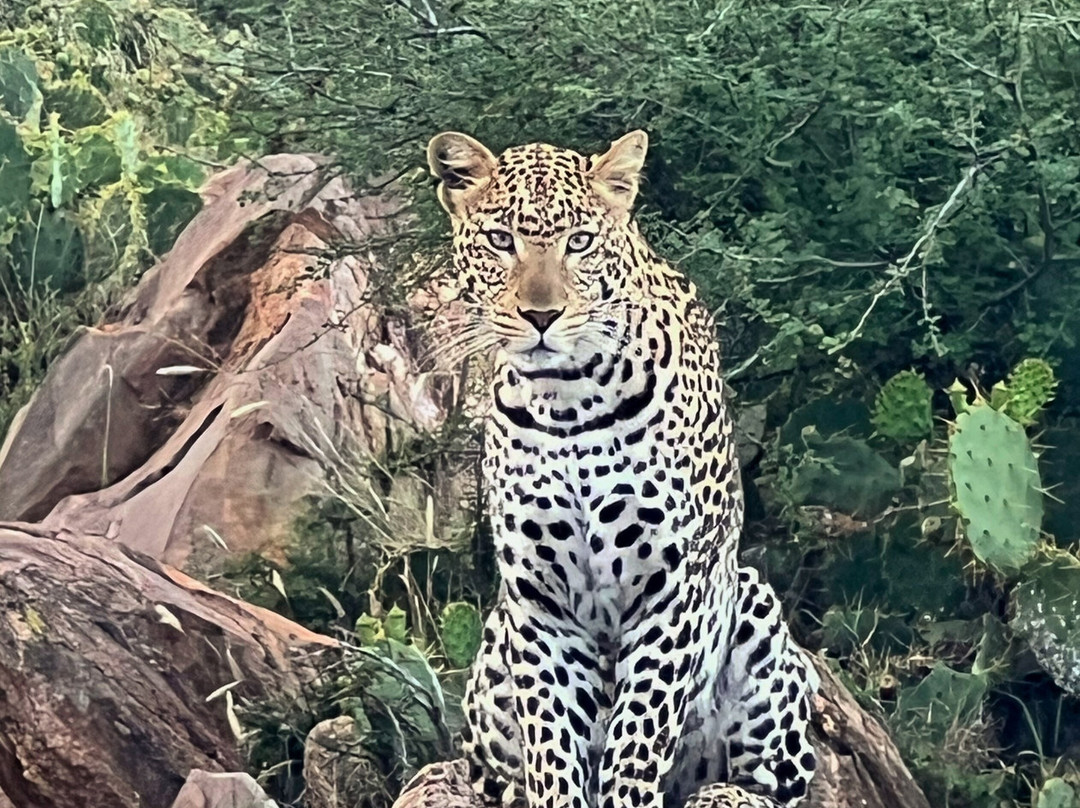 African Quest Safaris-蒙巴萨必去景点