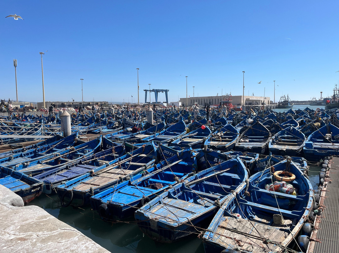 Dades Aventures - Day Tours-瓦尔扎扎特必去景点