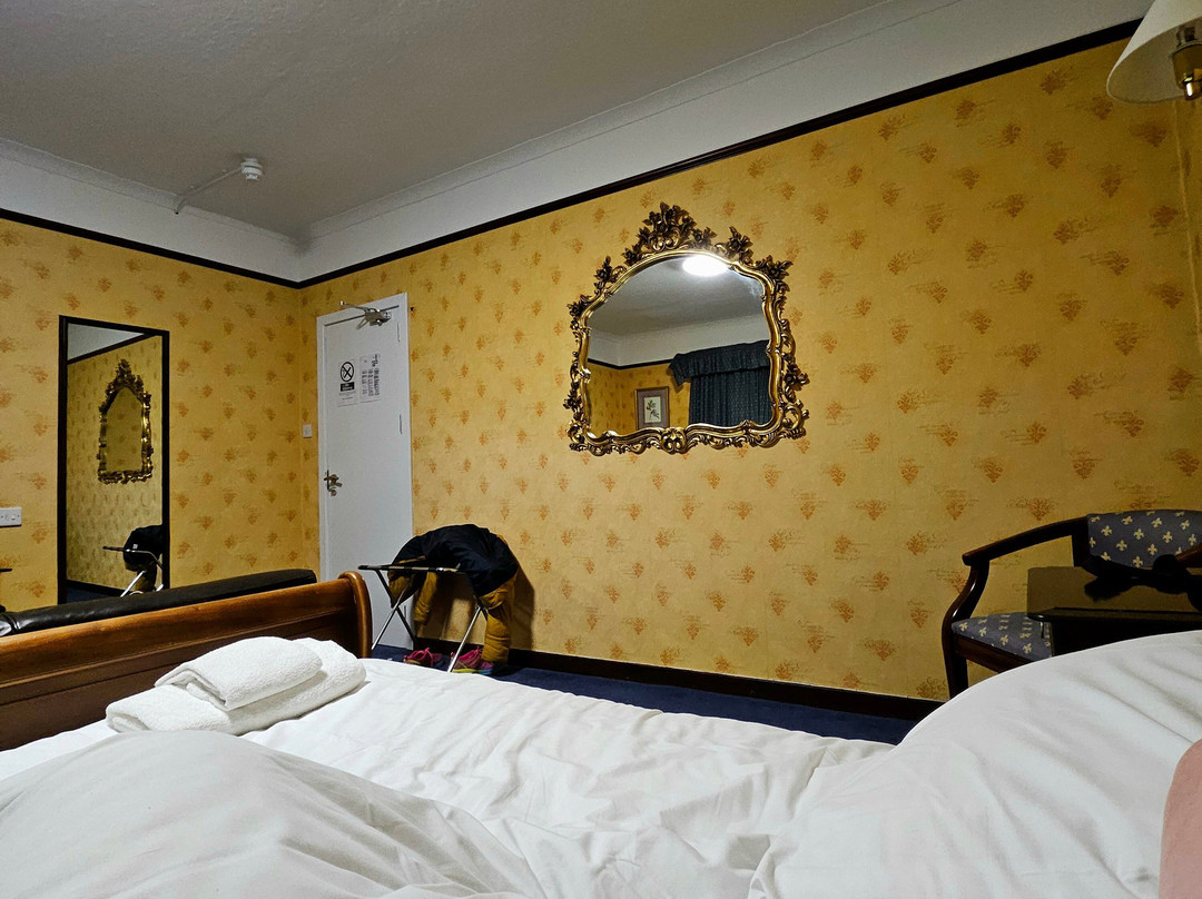 布鲁斯酒店主图