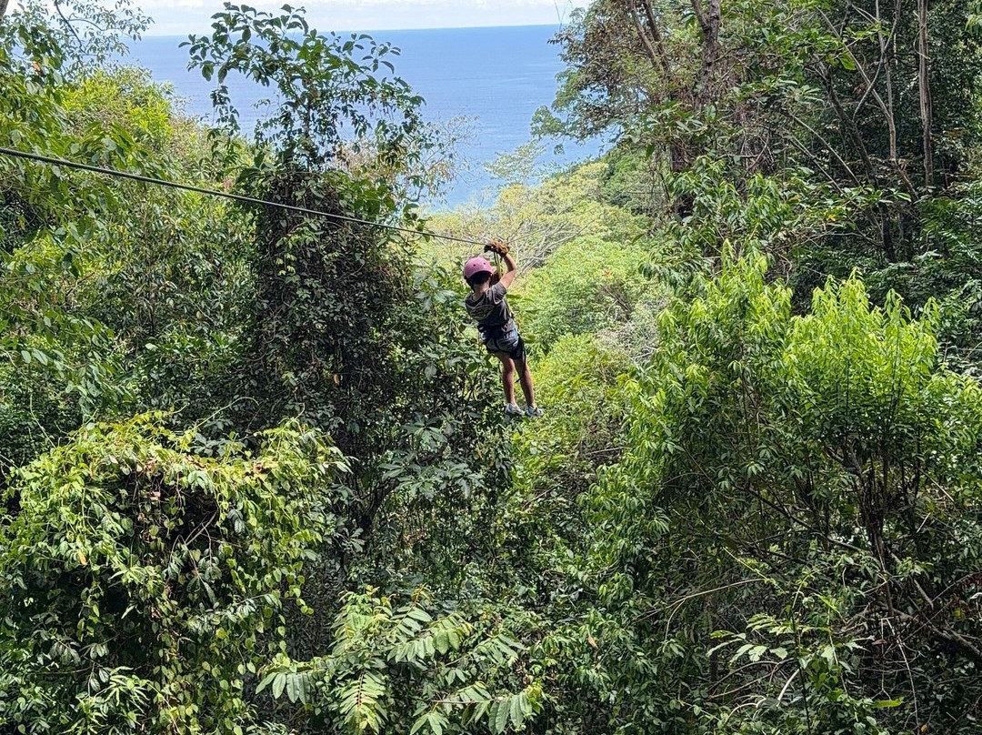 Chiclets Zipline-哈科必去景点